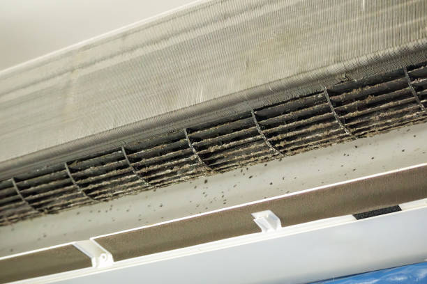 Best Best Air Duct Cleaning Near Me  in Fairport Harbor, OH